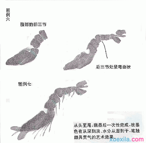 国画虾的画法教程