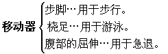 国画虾的画法教程