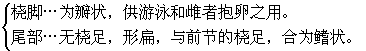 国画虾的画法教程