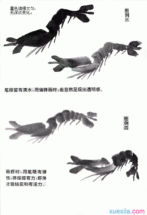 国画虾的画法教程