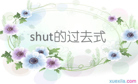 shut的过去式和用法例句