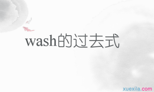 wash的过去式和用法例句