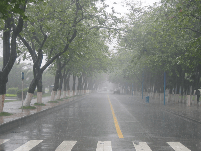 描写夏天雨的好段