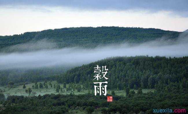 节气谷雨是什么意思