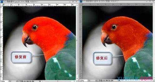 photoshop通道功能如何使用