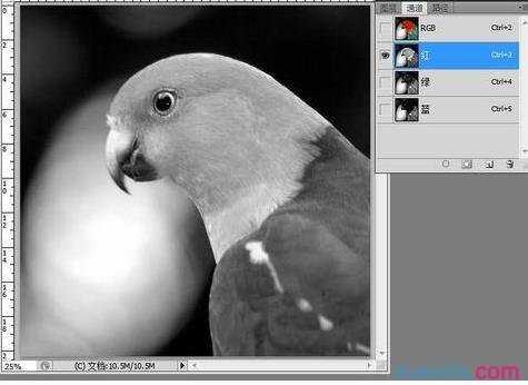 photoshop通道功能如何使用