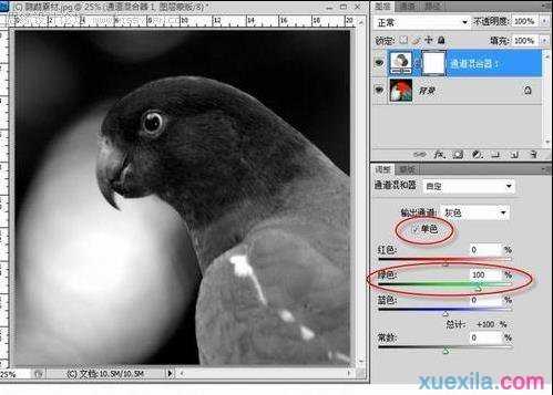 怎么用photoshop通道抠图