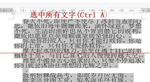 解决word字体放大后显示不完整的两种方法