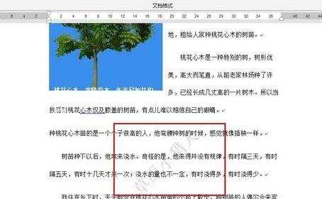 word设置图片水印的两种方法