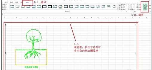 CAD图形怎样放入WORD中