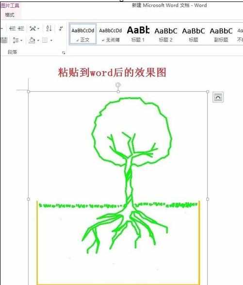 CAD图形怎样放入WORD中