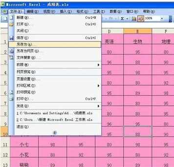 excel2003文档设置只读模式的教程