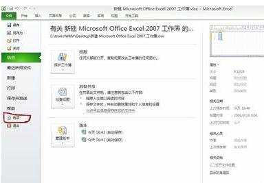 excel2010调出vba的方法