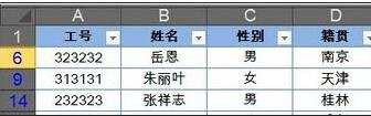 excel2013筛选功能的教程