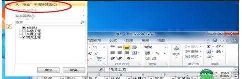 excel2010 自动筛选的教程