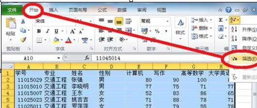 excel2010 自动筛选的教程