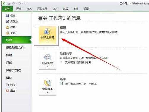 excel2010表格加密的方法