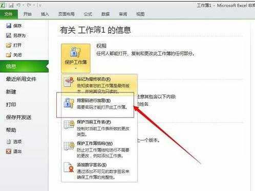 excel2010表格加密的方法