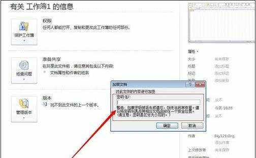 excel2010表格加密的方法