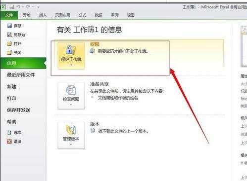 excel2010表格加密的方法