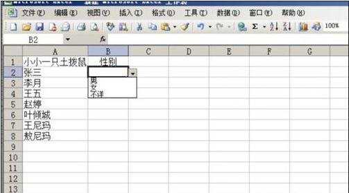 excel2003制作下拉菜单的教程