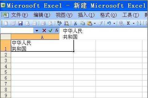 excel2003单元格换行的方法