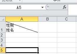 excel表格内添加斜线加文字的方法