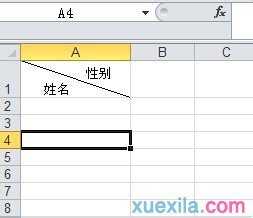 excel表格内添加斜线加文字的方法