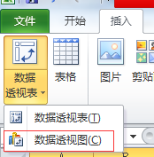 excel2010中创建数据透视图的教程