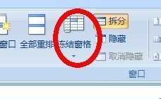 excel2007固定表头的教程