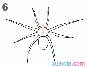 儿童蜘蛛基础画图片步骤