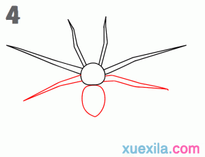 儿童蜘蛛基础画图片步骤