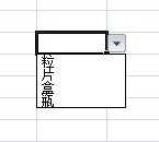 excel2007单元格加下拉框的方法