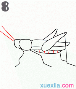 简单的蚂蚱卡通画教程图片