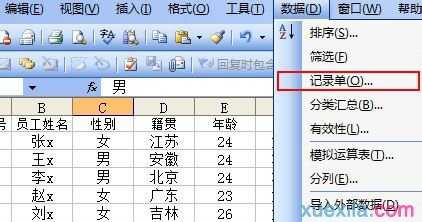 excel2003使用记录单管理数据的教程