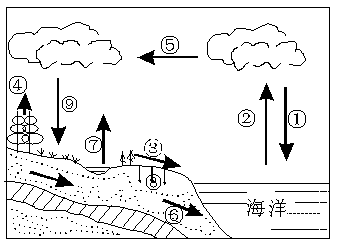 高一地理水循环和洋流教案