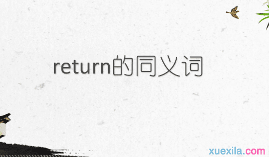 return的同义词辨析