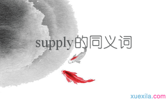 supply的同义词辨析