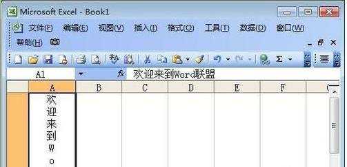 excel中让文字竖排的方法