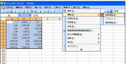 excel2003筛选功能的使用步骤