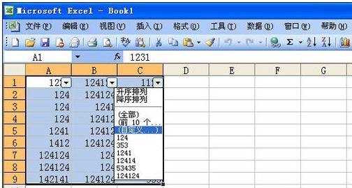 excel2003筛选功能的使用步骤