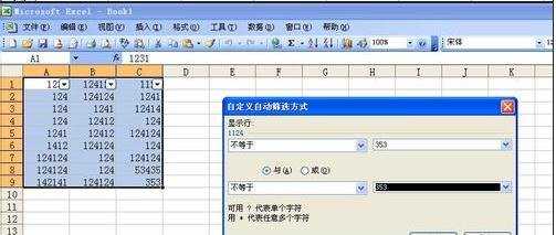 excel2003筛选功能的使用步骤