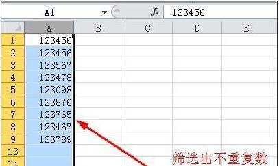 excel2003筛选出重复数据的教程