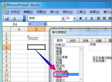 excel2003单元格格式设置数字格式的教程