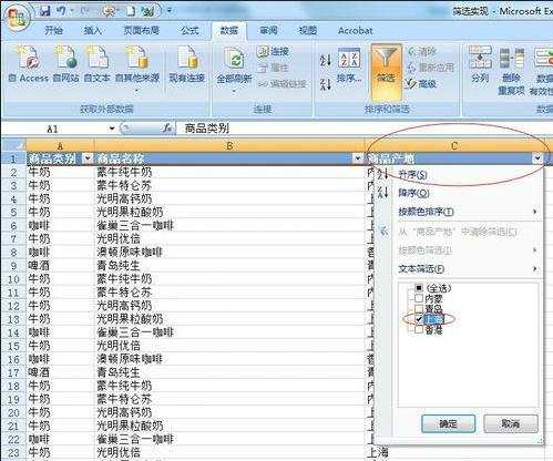 excel2007表格实现筛选的教程