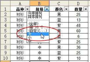 excel2003筛选功能使用教程