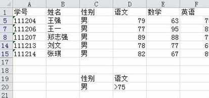 excel2010中高级筛选的使用教程