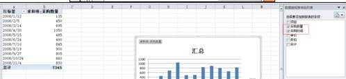 excel2010中创建数据透视图的教程