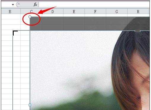 excel中图片裁剪的教程