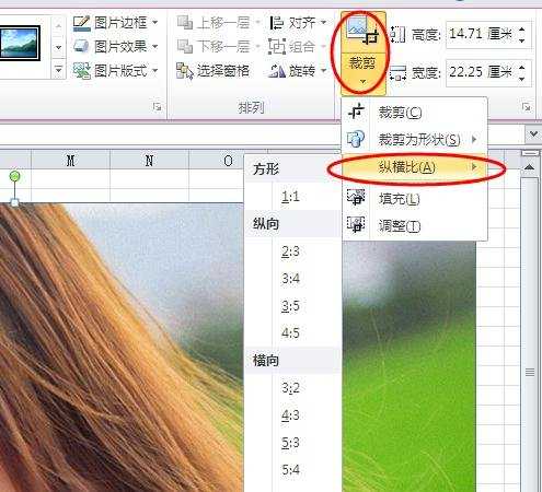 excel中图片裁剪的教程